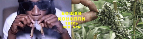 МДПВ Инсар