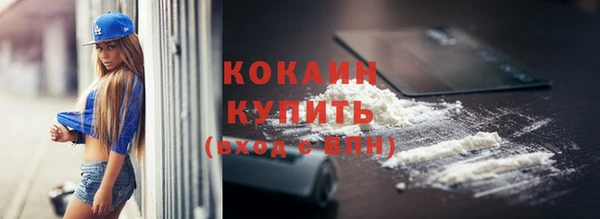МДПВ Инсар