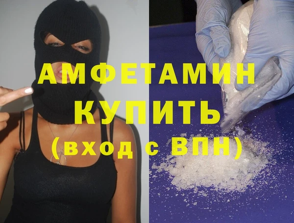 МДПВ Инсар