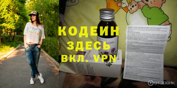 МДПВ Инсар