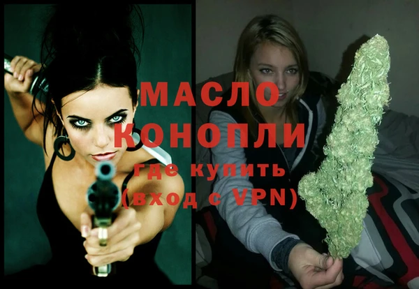 МДПВ Инсар