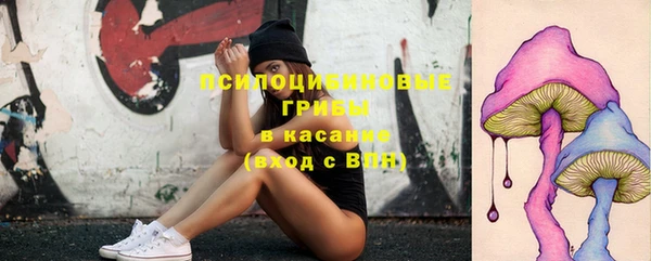 МДПВ Инсар