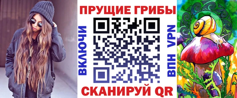 Псилоцибиновые грибы GOLDEN TEACHER  Купить закладки  Вилючинск 
